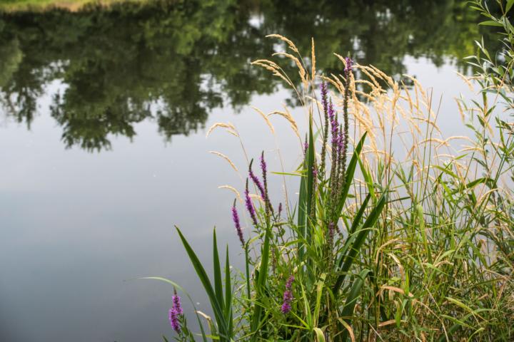 K640_DSC03926-1