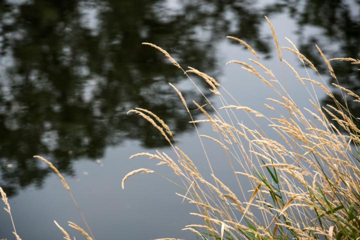 K640_DSC03928-1