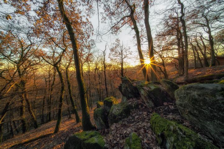 K640_DSC00430-Bearbeitet-Bearbeitet-1