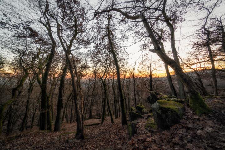 K640_DSC00452-Bearbeitet-2-Bearbeitet-1-2