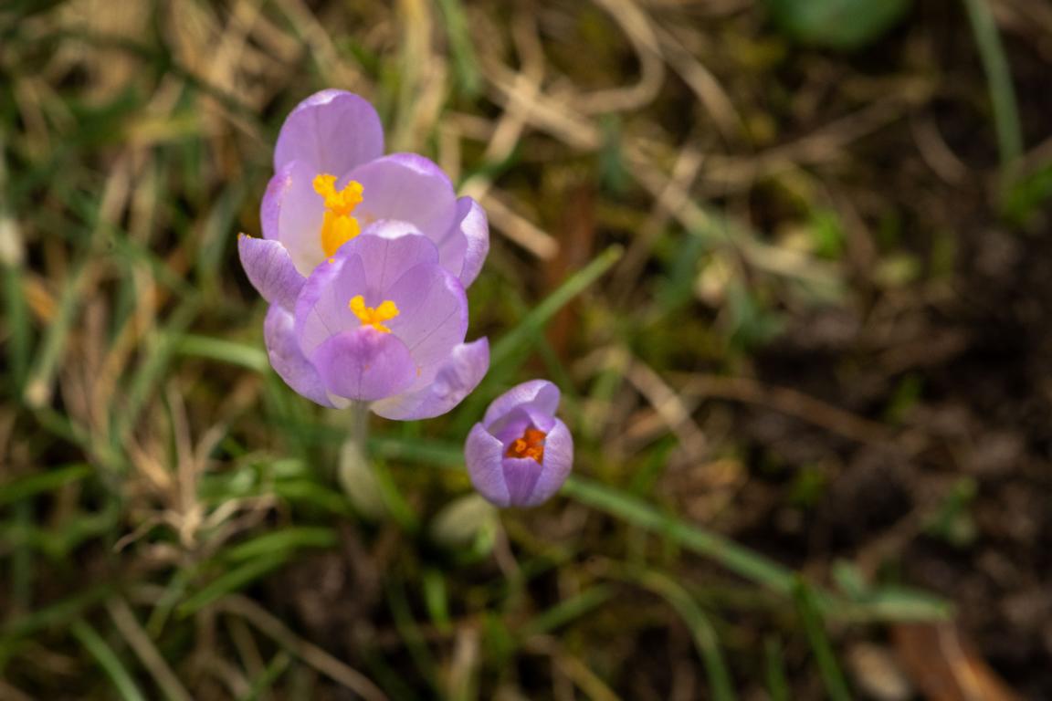 K1024_DSC03963-Bearbeitet-1