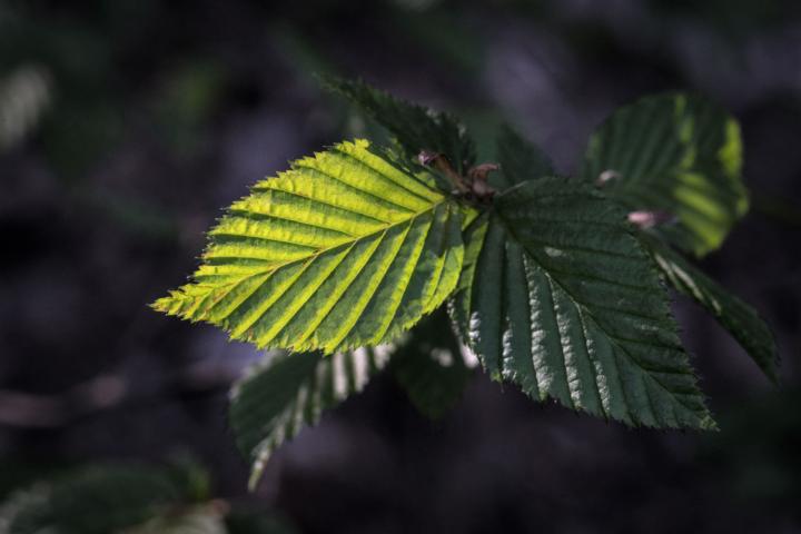 K640_DSC04080-1_1