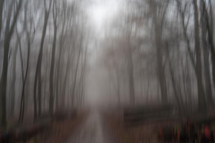 K640_DSC06535-1